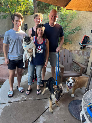 German shepherd sanctuary on sale