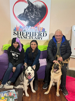 German shepherd sale sanctuary