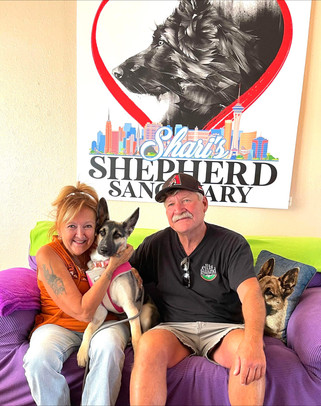 German shepherd sanctuary cheap