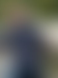 Se former sérieusement à la thérapie avec le cheval en Suisse : un choix responsable et une garantie de qualité