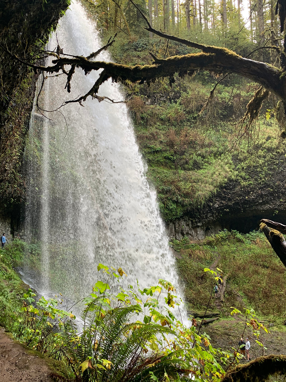 Fun Things to Do in Salem Oregon
