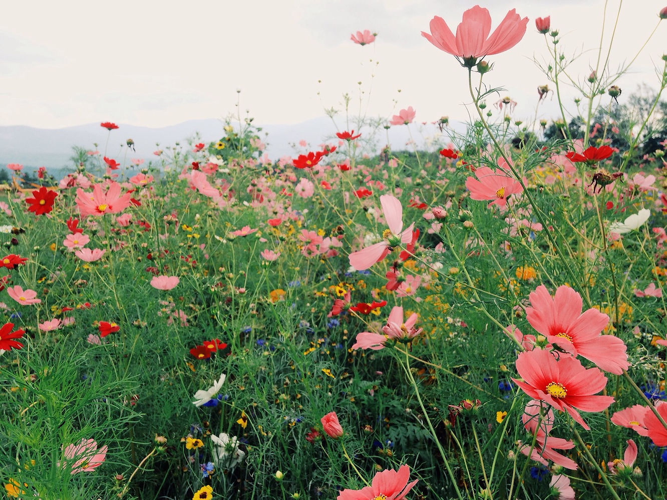 best hike with flowers in oregon