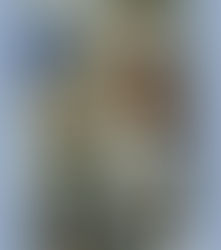 9/30 保育の様子