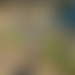 🌸てぃだまち倶楽部のご紹介🌸