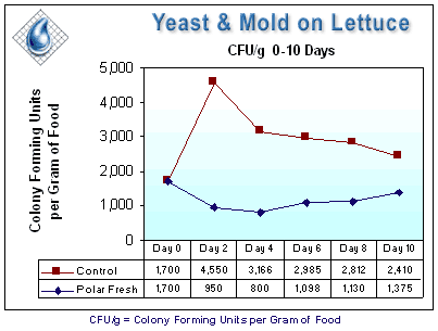 lettuce_ym graph.gif