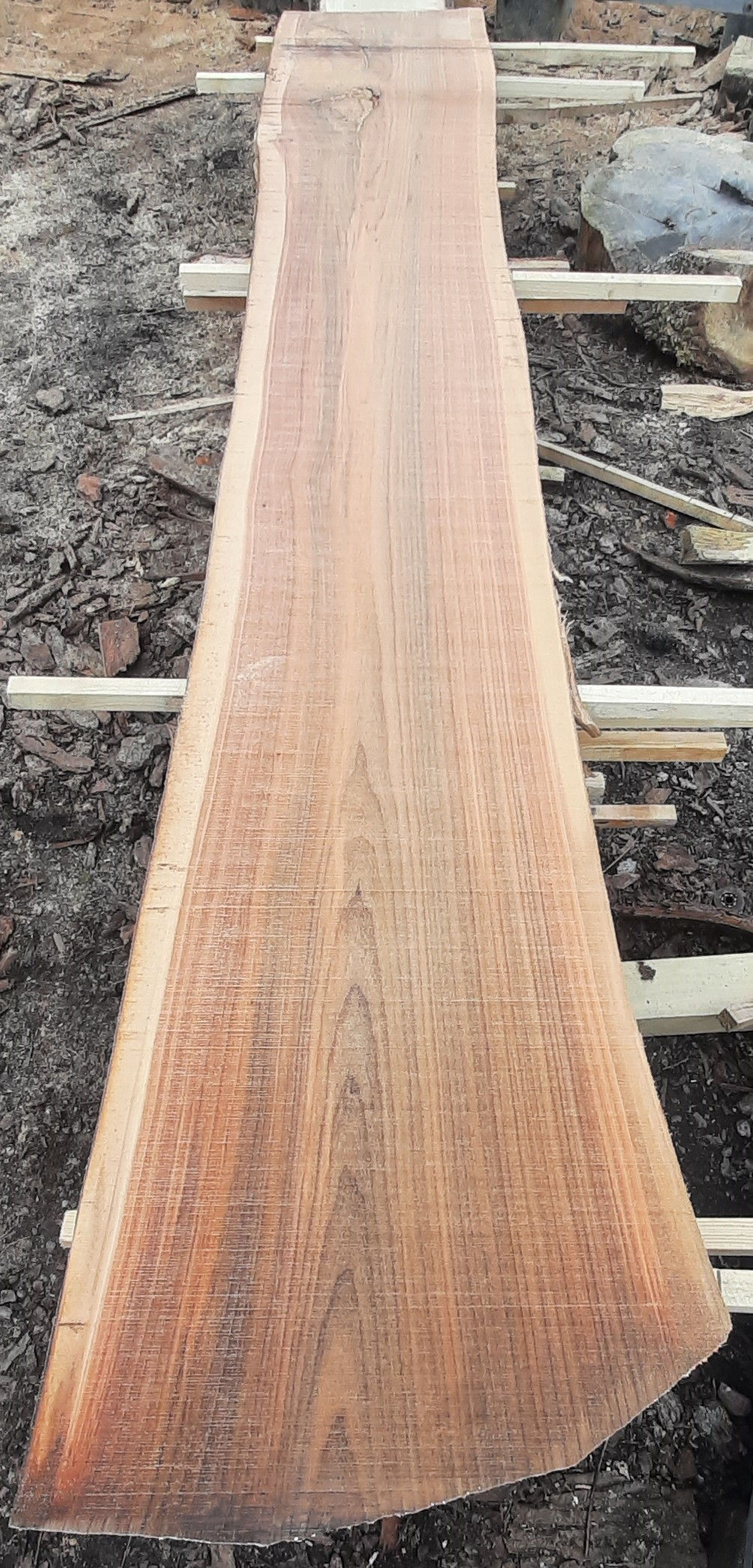 Ask 9 - Planke 8, 30 x 520-440 x 2950