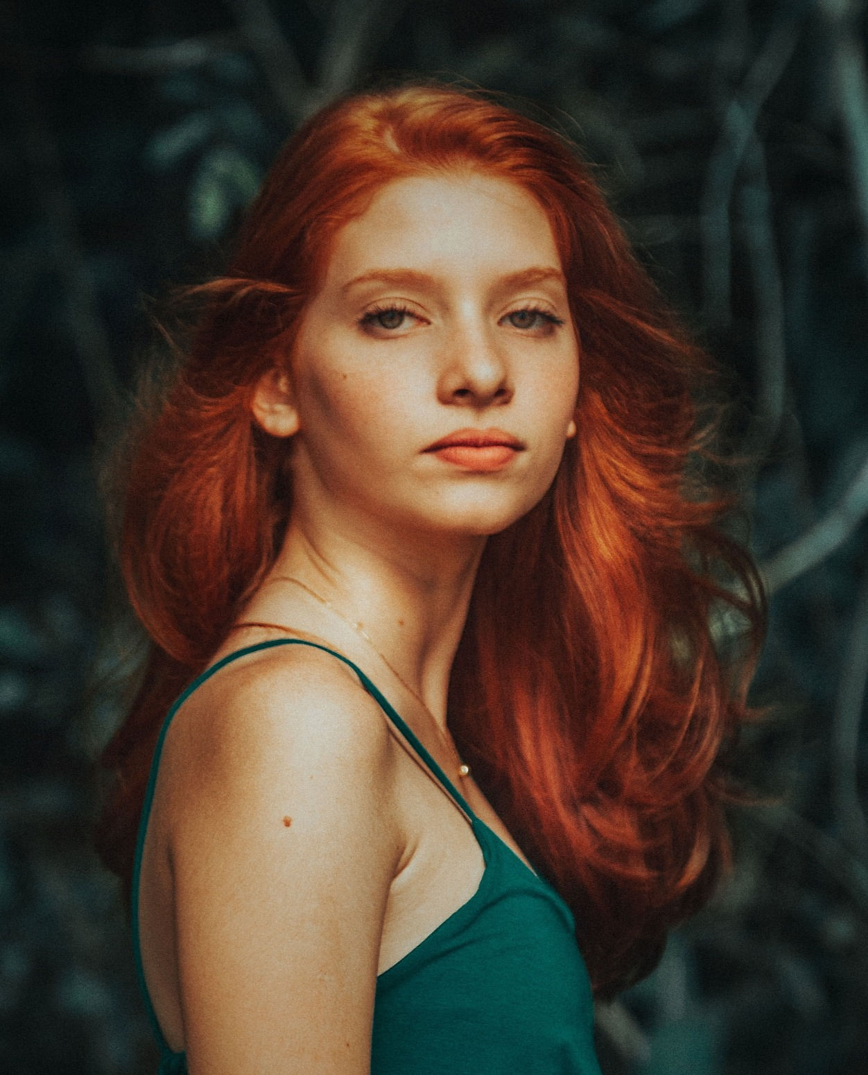 Colorazione Plant Flower