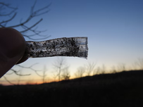 A hand holding up needle ice.