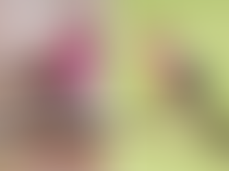 A purple finch (left) and a house finch (right).