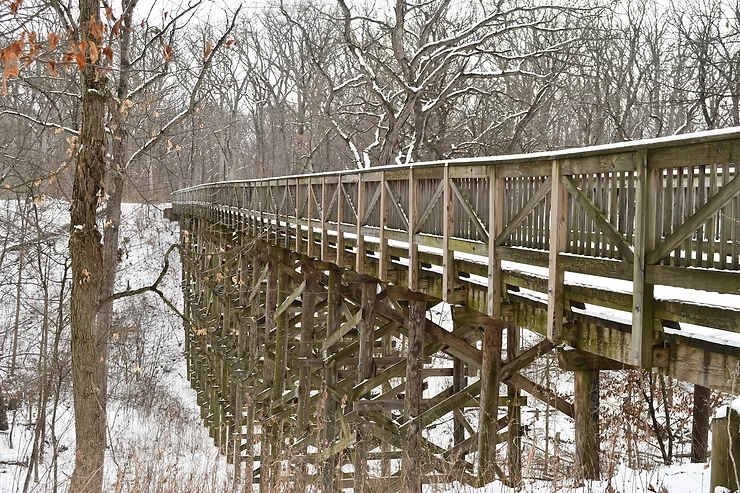 Wooden bridge over snowy ground, surrounded by leafless trees in a winter forest. The scene is serene with muted colors and a cold atmosphere.