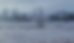 Frost-covered field with bare trees, muted gray sky. The scene evokes a calm, wintery mood with soft, desaturated colors.
