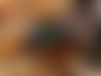 A close up of a housefly.