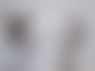 A pair of sandhill cranes dancing together.