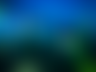 Multiple lightning bugs  in a grass area.