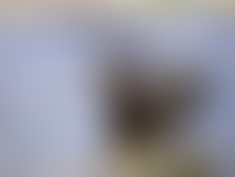 A river otter in water.