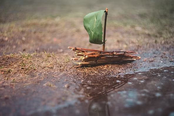 A small raft made of twigs with a green leaf sail floats on a puddle. The background is grassy, 