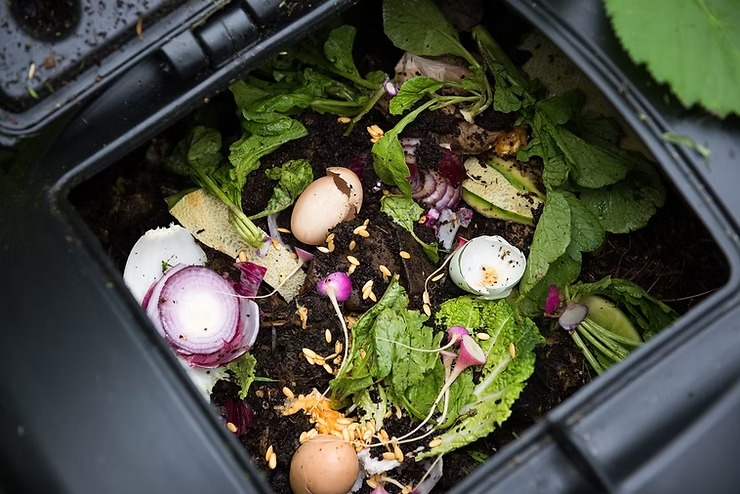 Compost bin filled with vegetable scraps, eggshells, and onion peels. Green leaves and soil visible. Overhead view, natural colors.