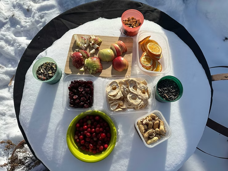 Fruits, nuts, and seeds on a round, snow-covered table outdoors. Apples, oranges, cranberries, and peanuts are arranged in bowls.