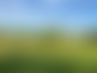 Blue sky over a field.