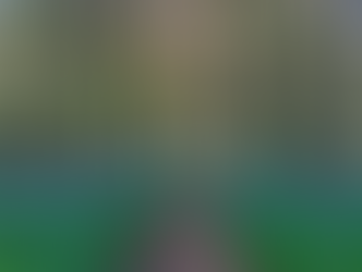 Virginia bluebells at O'Hara Woods Preserve.