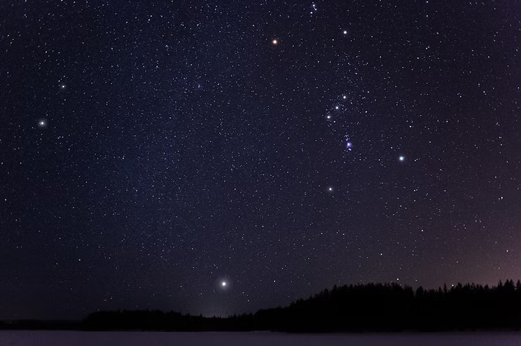 Starry night sky with constellations over a dark forest silhouette. Bright stars punctuate the deep blue and purple hues, creating a serene mood.