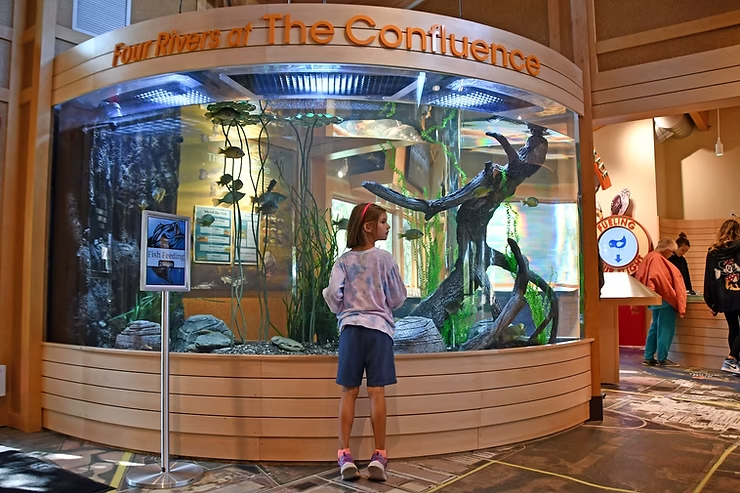 Girl observes fish in a large aquarium. A girl in front of the aquarium. Bright, colorful setting with wooden accents and educational signs.
