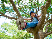A girl sitting in a tree.