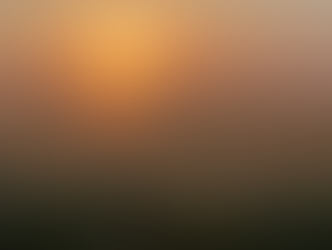 The sun rising over a grassland.