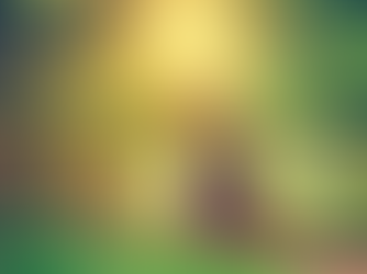 An oak tree with the sun peaking through it.