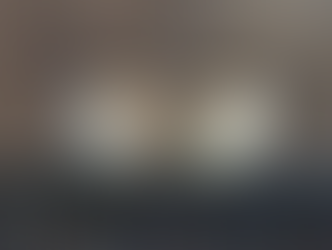 Two Eastern phoebes.