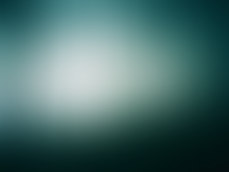 Trees with fog in front of them.