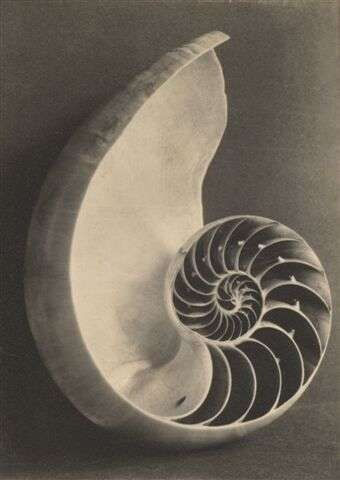 Art Therapy with Selin Basmacı Habip - "İsim"