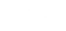LOGO HYNET - 7.png