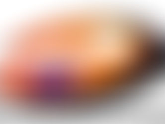 Motor para Portão PPA (11)98453-5852