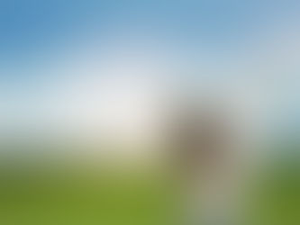 Finding Peace Amongst Chaos