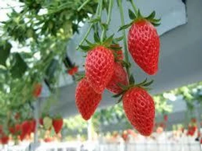 「親ばか?四月馬鹿?」