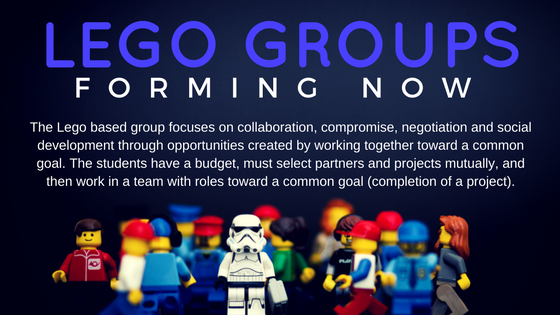 lego groups for adults