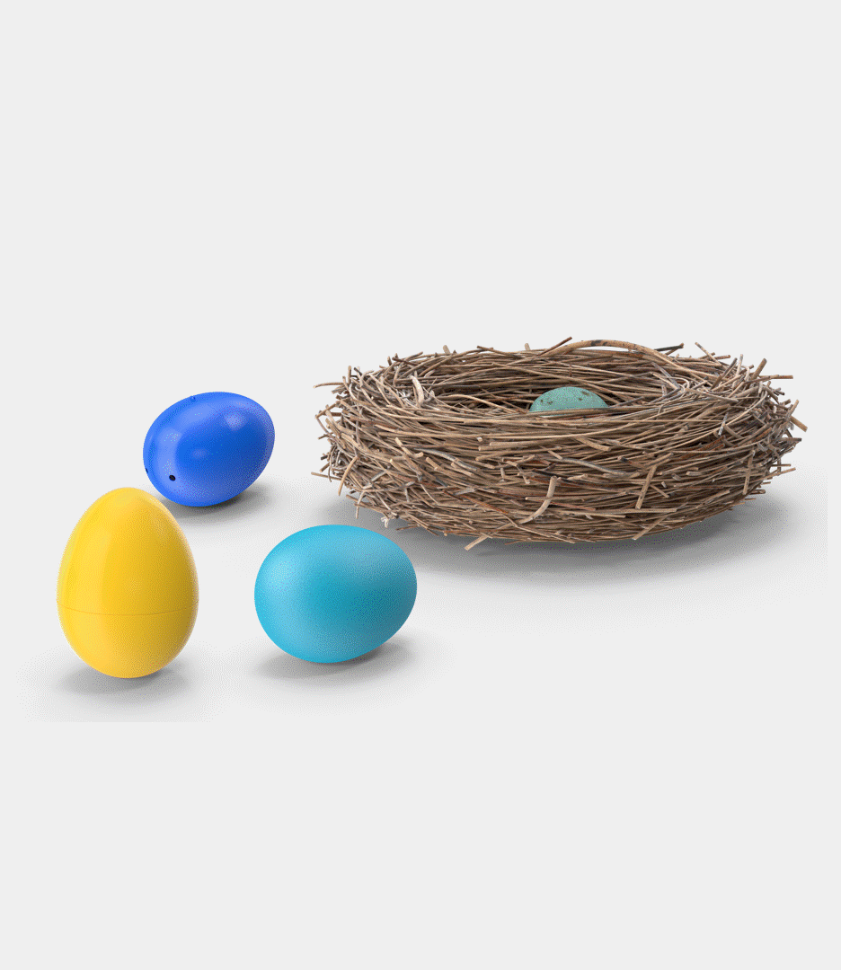Egg Nest.gif