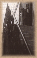 pala-foto17.gif