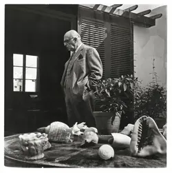 1963-SEFERIS