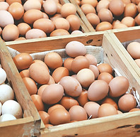 Egg Delivery