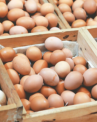 Egg Delivery