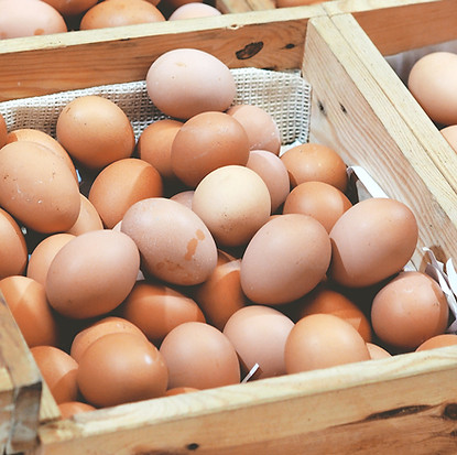 Egg Delivery