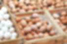 Egg Delivery