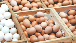 World Egg Day 2024