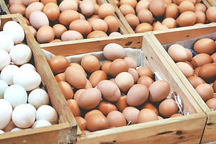 Egg Delivery