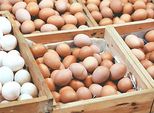 Livraison des oeufs