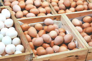 The Free Range Myth