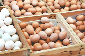 Egg Lieferung