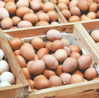 卵の配達